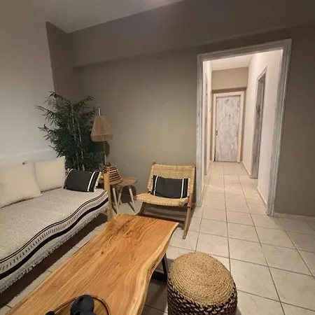 Lily's מגלי אמוס