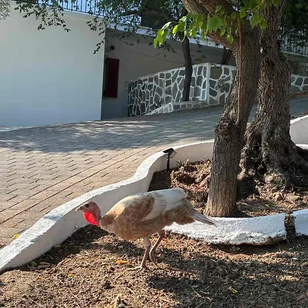 דירה Lily's מגלי אמוס